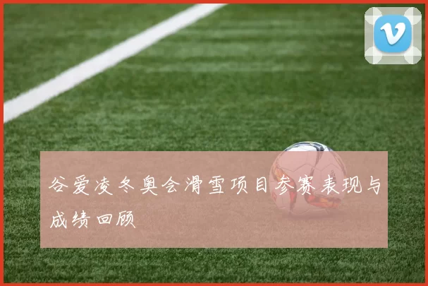 谷爱凌冬奥会滑雪项目参赛表现与成绩回顾