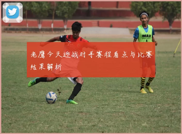 老鹰今天迎战对手赛程看点与比赛结果解析