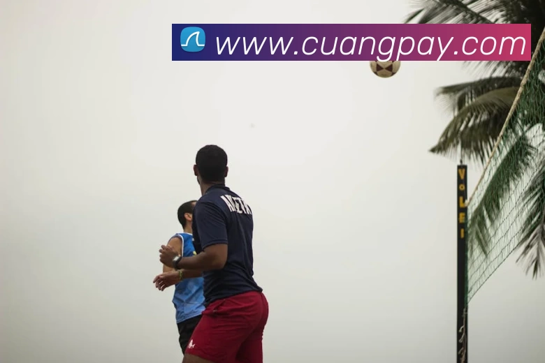 开云app官方版web站入口 - 开云online(中国)平台生态图