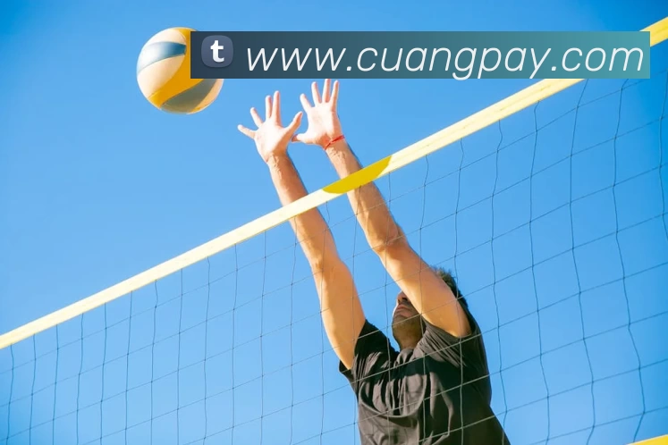 开云app官方版web站入口 - 开云online(中国)APP 封面图